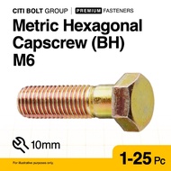 1-25pc M6 (6MM) BH Metric Hexagonal Capscrew | MM Bolt