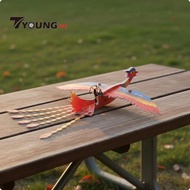 [Available] Electric Flame Soarer Soarer Circling Glide Flying Flame Soarer Avian Toy DIY Assembly F