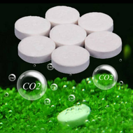 ECERAN TABLET CO2 aquascape aquarium