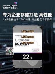 【可開發票】WD西部數據機械硬盤22TUltrastar DC HC570企業級服務器存儲22TB