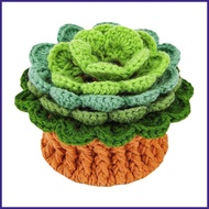 Crochet Coaster Kit Handmade Plant Crochet Kit Beginner Crochet Kit with Crochet Hooks Yarn Clear Vi