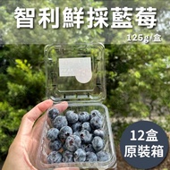 【水果狼】嚴選智利鮮採藍莓 12盒/1.5KG 原裝箱