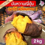 Japanese Sweet Potato Beniharuka, Roasted and Ready to Eat, 2kg Sweet Japanese Sweet Potato, Japanes