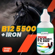 SUPER VITAMIN B12 5500MCG B15 with IRON FOR ANIMALS Red cell para sa manok VITAMIN B12 +