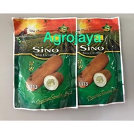 SINO T113 Biji Benih Timun Batang Tua Star Plant Enterprise F1 Hybrid Old Soup Cucumber Seeds 50gm / 100gm 老胡瓜菜米