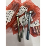 LC135 ENGINE STAY SCREW