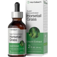 Horbaach Horsetail Extract | 2oz Liquid