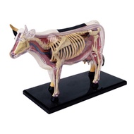 4D Cow Intelligence Assembling Toy Animal Organ Anatomy Model Medical Teaching DIY Popular Science A