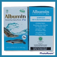 Best Seller Albumin Fit 60 kapsul Ekstrak ikan gabus/ikan kutuk Albumin Fit, albumin ikan gabus herb