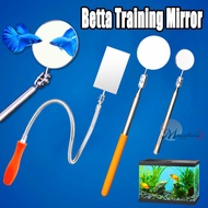 Betta Fish Training Toy Mirror Betta Fish Training Stick Exercise Mirror for Aquarium