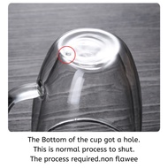 Double Wall Glass Cup – Heat-Resistant Coffee & Tea Mug with/without Handle
