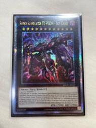 尊爵樹懶 遊戲王 亞英 AGOV-AE042 厄災之星 提豐 金鑽