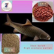 Ls makanan ikan kelah/pellet ikan sungai 100g