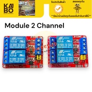 Relay Module 2 Channel 12V 24V