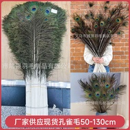 Ready Stock Peacock Feather 80-90cm Peacock Feather Jewelry Accessories Feather diy Decoration ISZP