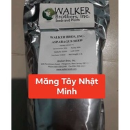 100 Green Asparagus Seeds F1 UC 157 (USA)