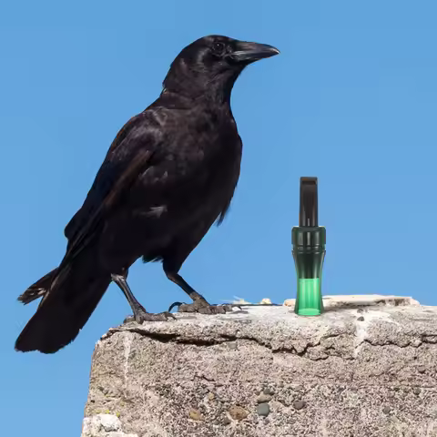 Crow Call Whistle Realistic Imitation Sound for Bird Watching Hunting Research Sturdy Plastic Outdoo