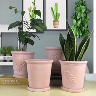 Morandi Red Pottery Relief Pot Succulent Flower Pot Green Plant Potted Gardening Flower Pot Red Pott