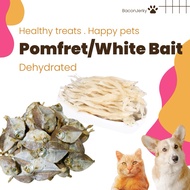 [New] Cat dog treats, Mini pomfret, 40g white bait, dental chew, dog treats, fish jerky