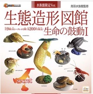 全新 生態的鼓動 生態造形圖館 扭蛋 全9種 鳥羽水族館 監修 龍吐珠 超血龍 紅海龜 模里西斯鞭腕蝦 鸚鵡螺 招潮蟹 皮革海龜 麵包蟹 美洲鱟 (A4)