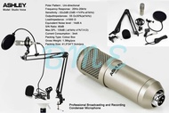 Mic Podcast ASHLEY STUDIO VOICE ORIGINAL MIC RECORDING