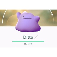 pokemon GO Catch ditto