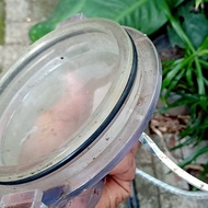 KARET SEAL /O RING TUTUP MESIN HAYWARD 3/4 HP