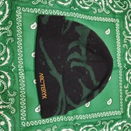 Arcteryx beanie hat