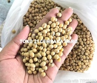 Dijual Kacang Kedelai Impor Amerika Super 1 KARUNG isi 50 KG | Import