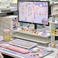 Acrylic 2-tier computer monitor stand