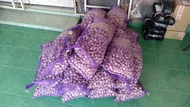 500G Bawang putih tunggal Bawang lanang Bawang jantan