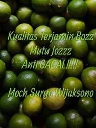 Air Perasan Jeruk Nipis Murni Super Ready Warangan pusaka Siap Pakai