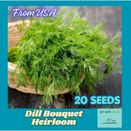 Rare Seed - Dill Bouquet, Heirloom