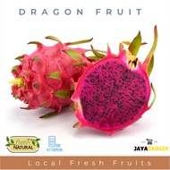 Jaya Grocer Fresh Dragon Fruits from Farm Buah Naga 火龙果