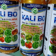 KALI BO TẠO NỤ MẬP NỤ NUÔI HẠT DƯỠNG HẠT TO TRÁI LÊN MÀU