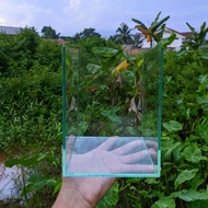 15x15x20 Ornamental Fish Aquarium