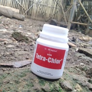Tetra Chlor Botol isi 50 Tablet Obat Ngorok atau CRD Ayam Ternak
