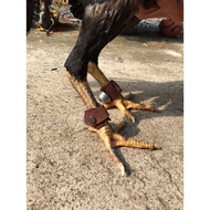 Leg weights, practice weights, chicken weights, lead weights, chicken leg weights