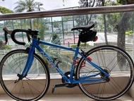 NORCO Valence架 Campagnolo 輪組 藍色公路單車