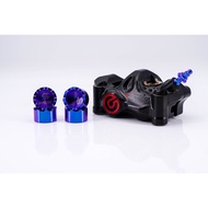 BREMBO 484 Titanium Alloy Piston+Screw Set Titanium Alloy Screw