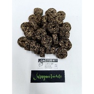 PORTUGAL CORK CACTUS-4 (MADE IN PORTUGAL)