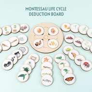 Wooden Montessori Life Cycle Tray Animal Plant Life Cycle Change Puzzle Enlightenment Educational To