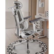 Hbada E3 Office Chair Ergonomic Desk Chair for Telework Comfort