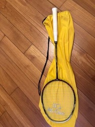 Hi-Qua  ARMOR ACE 900-P 羽毛球拍