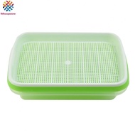 Large Capacity Sprouting Tray for Growing Wheatgrass Buckwheat and Soybeans