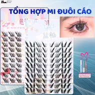 [10 Row Glueless Fox Tail Set] Charming Fox Tail, Dat Ky Tail, Crush Mi, YanYou Mi, Fox Eyelashes, S