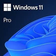 [有實體包裝] Windows 11 Pro 正版序號(Activation Key)