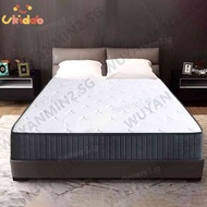 Spring Mattress From Super Soft Queen Size Mattress Independent From Simmons 25Cm Thick Cushion wuya
