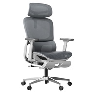 Hbada X7 AI Smart Ergonomic Chair - with Dynamic Lumbar Support 4D Adjustable Headrest & 720° Rotati