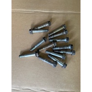 Bolt 17mm Length 79mm